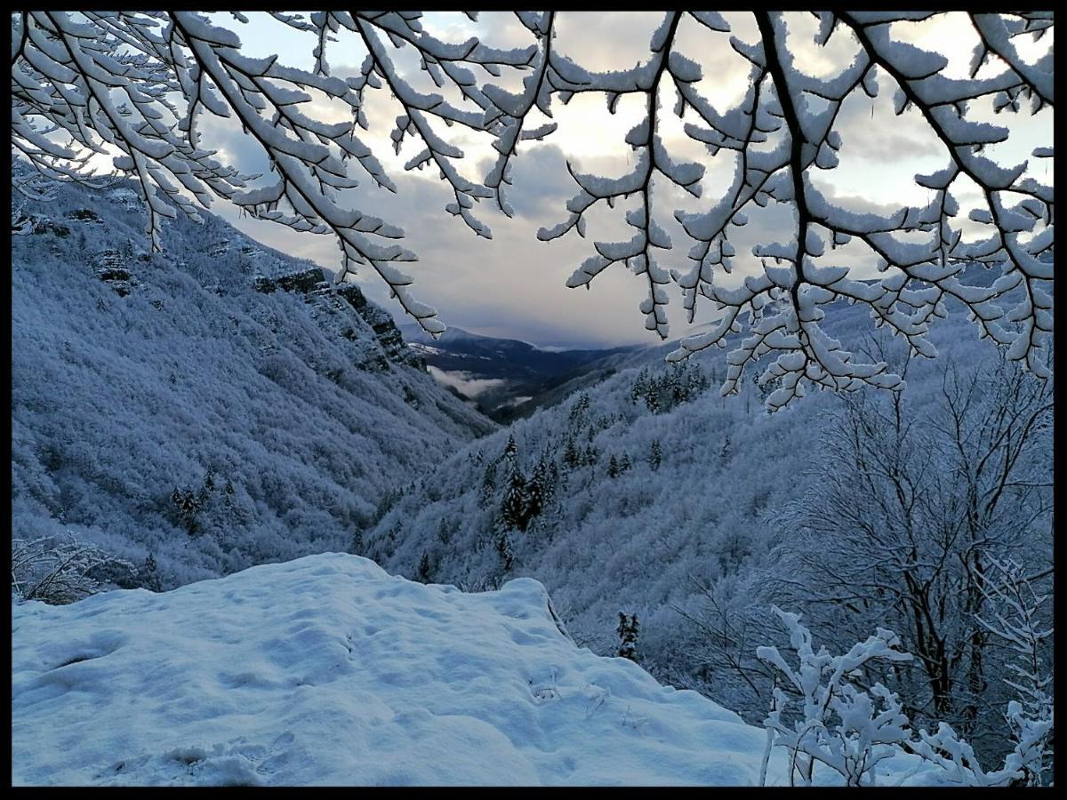 Holiday home La Foresta