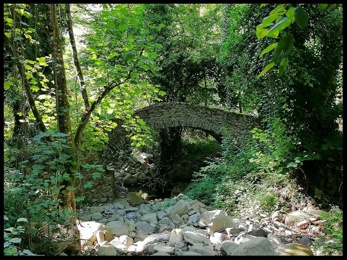 Holiday home La Foresta *