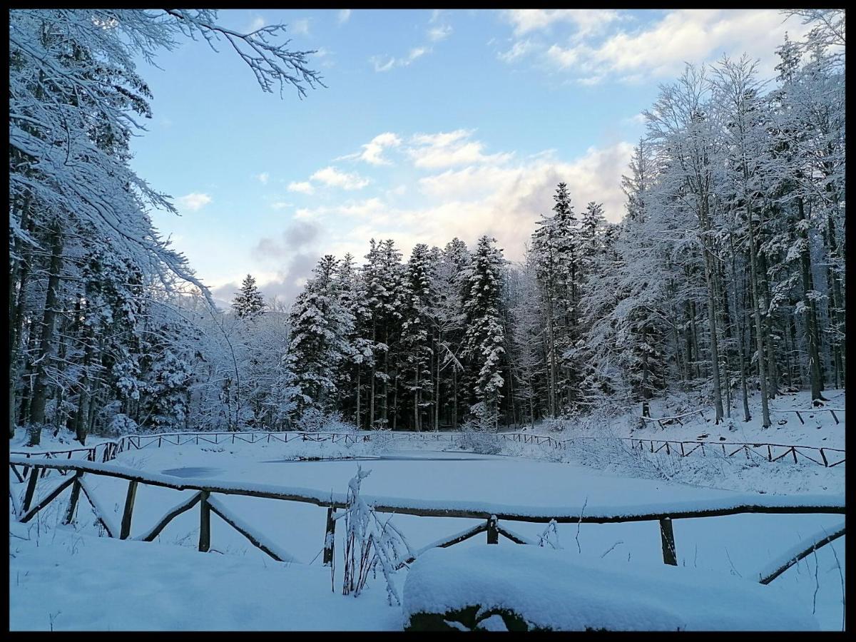La Foresta * Abetone