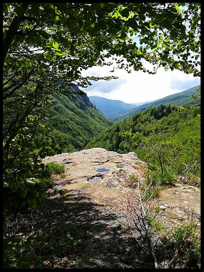 La Foresta Holiday home Abetone